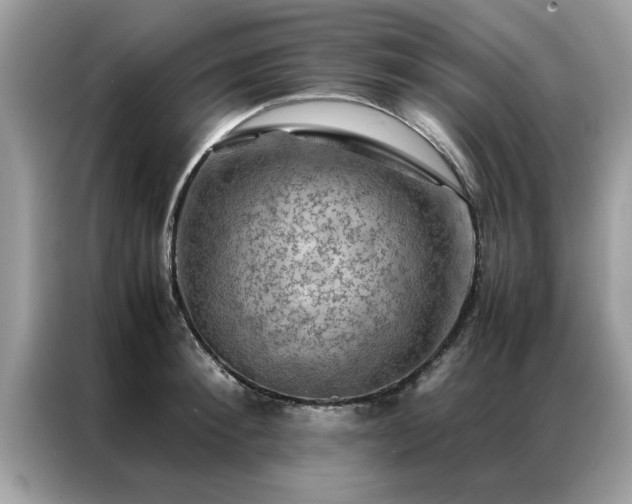 X0000087370900200704271453