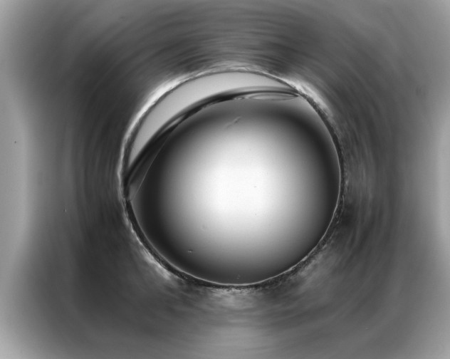 X0000087370902200704271453