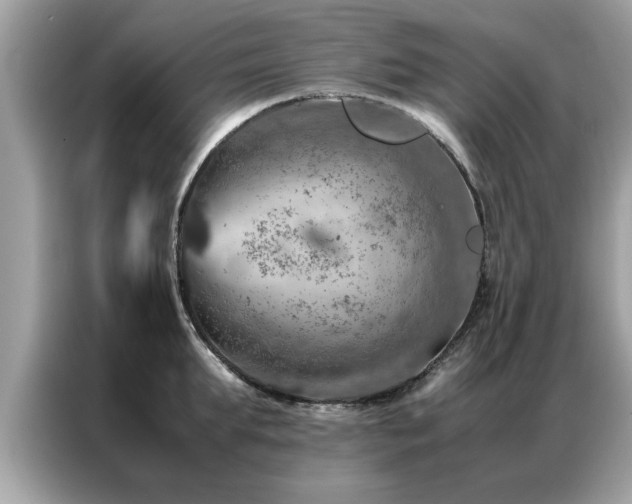 X0000087370903200704271453