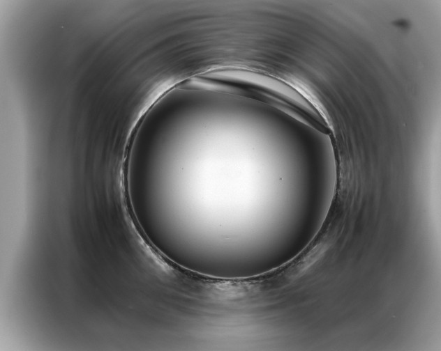 X0000087370906200704271453