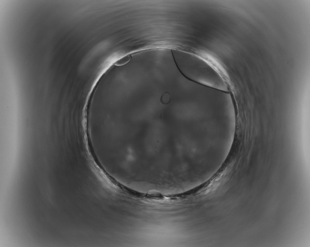 X0000087370907200704271453