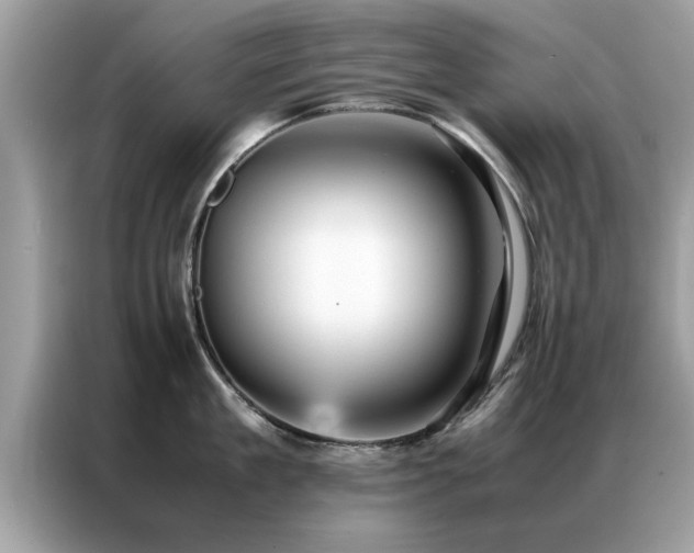 X0000087370909200704271453