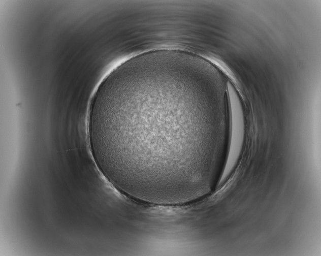 X0000087370910200704271453