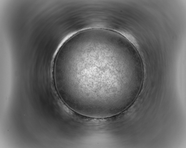 X0000087370912200704271453