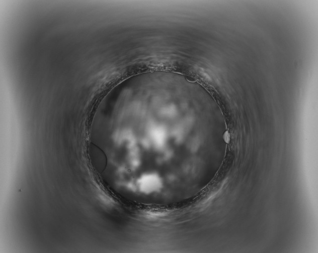 X0000087370913200704271452