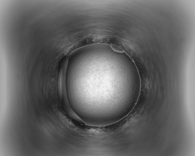 X0000087370914200704271452