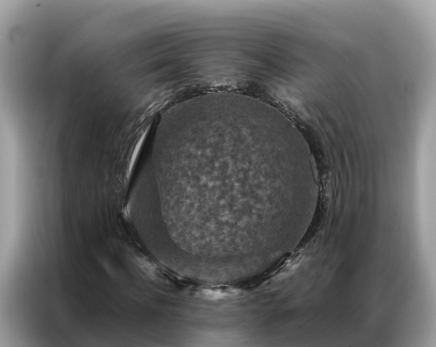 X0000087370916200704271452