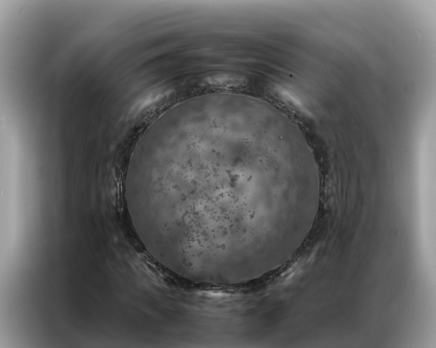 X0000087370917200704271452