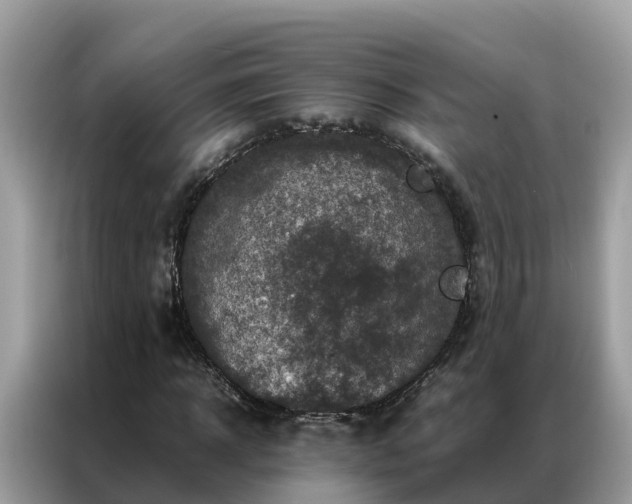 X0000087370918200704271452