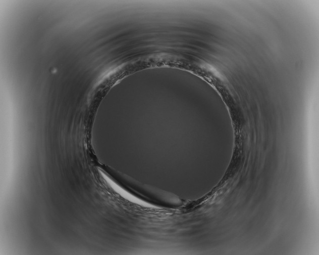 X0000087370919200704271452