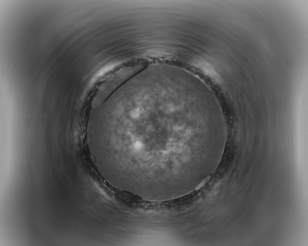 X0000087370920200704271452