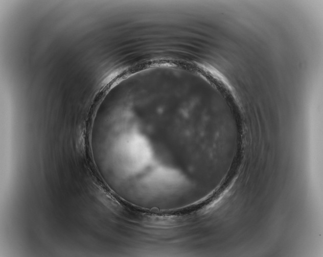 X0000087370921200704271452