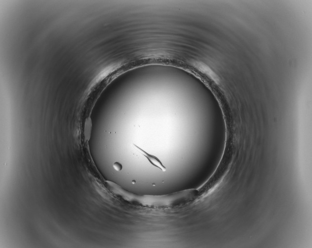 X0000087370922200704271452