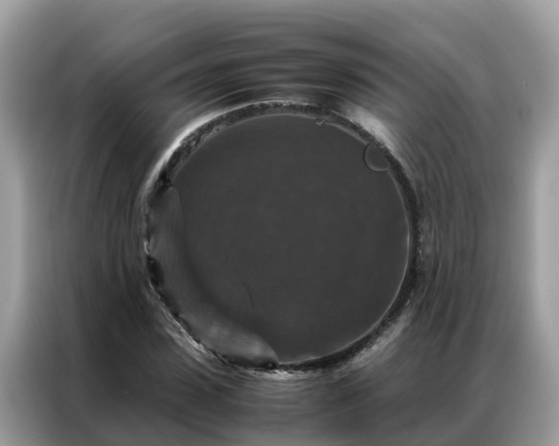 X0000087370923200704271452
