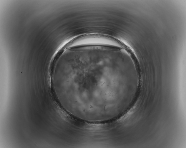 X0000087370925200704271452