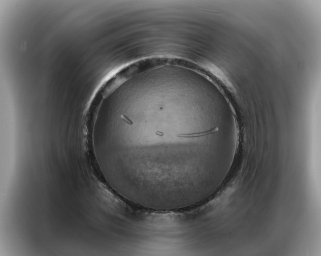 X0000087370926200704271452