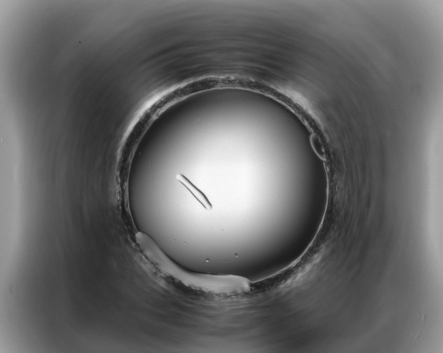 X0000087370927200704271452