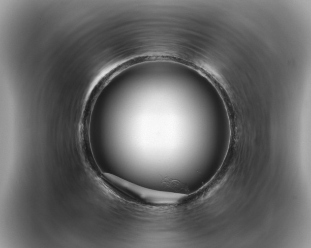 X0000087370928200704271452