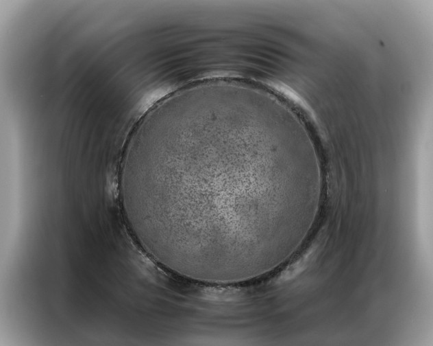 X0000087370929200704271452
