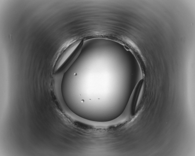 X0000087370930200704271452