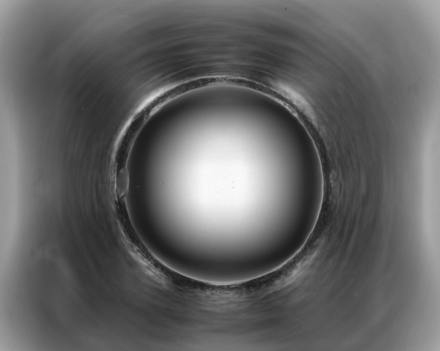 X0000087370931200704271452