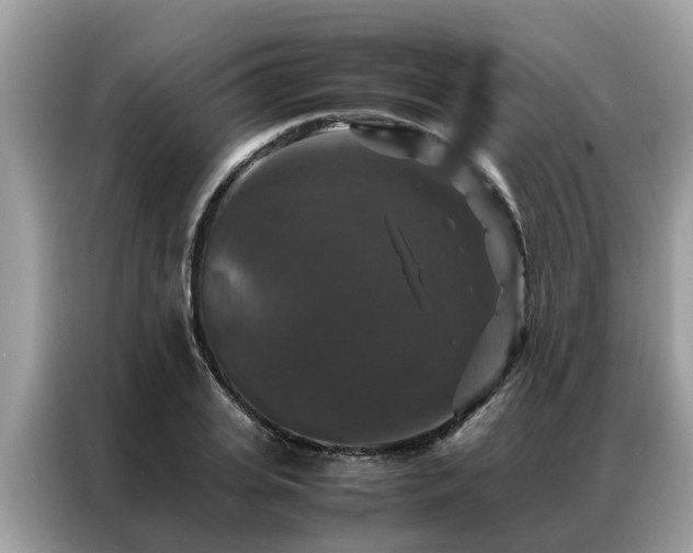 X0000087370935200704271452