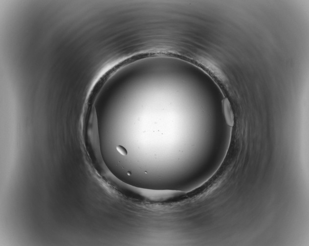 X0000087370936200704271452