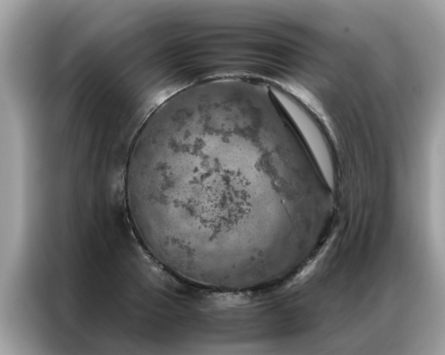 X0000087370937200704271452