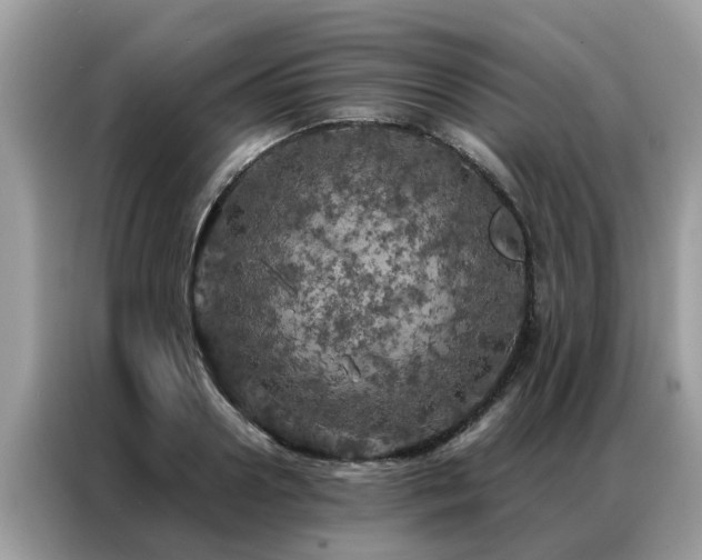 X0000087370938200704271452