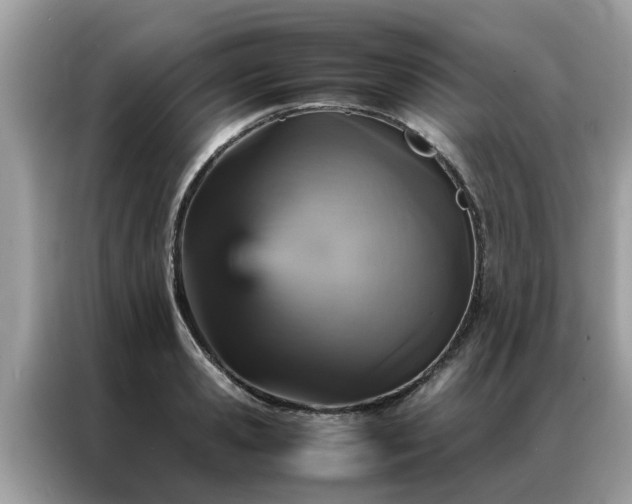 X0000087370941200704271452