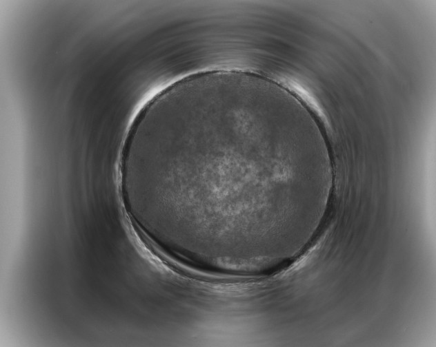 X0000087370944200704271452
