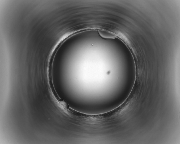 X0000087370947200704271452