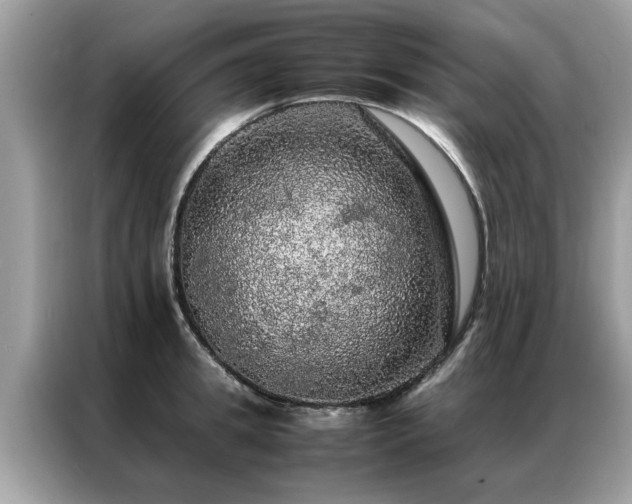 X0000087370949200704271452