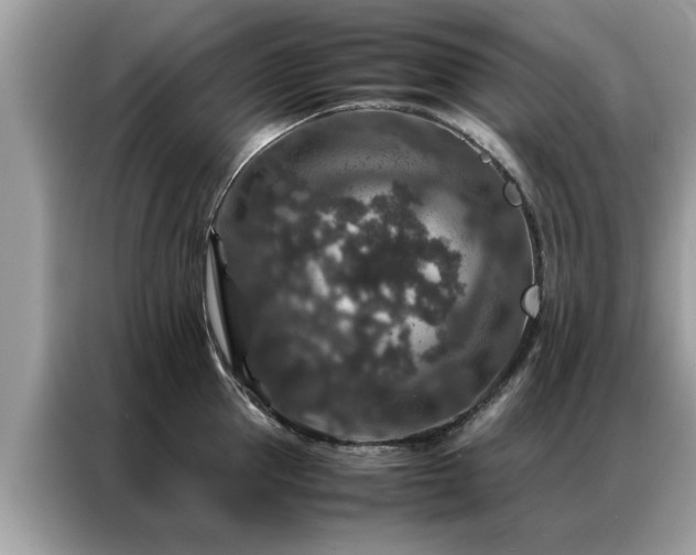 X0000087370953200704271452