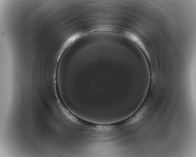 X0000087370954200704271452