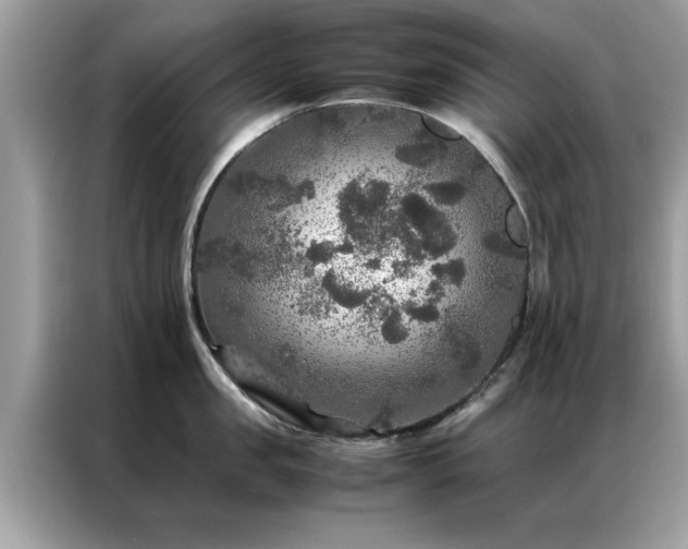 X0000087370957200704271452