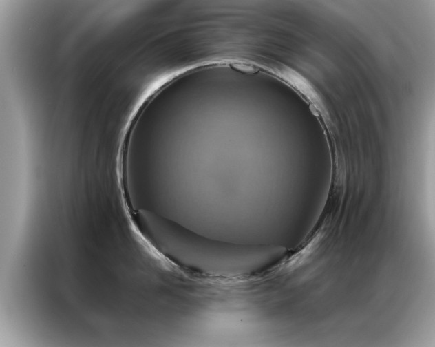 X0000087370958200704271452