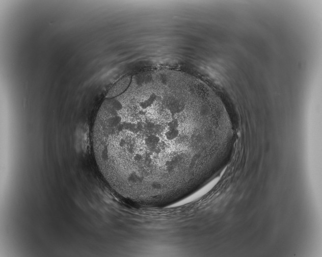 X0000087370963200704271452