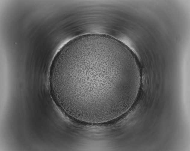 X0000087370972200704271452