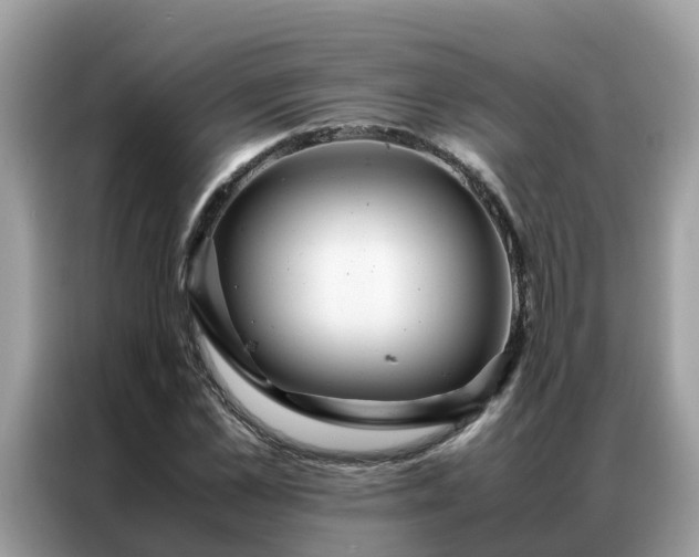 X0000087370973200704271452