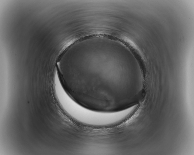 X0000087370977200704271452