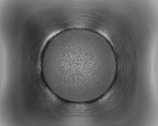 X0000087370979200704271452
