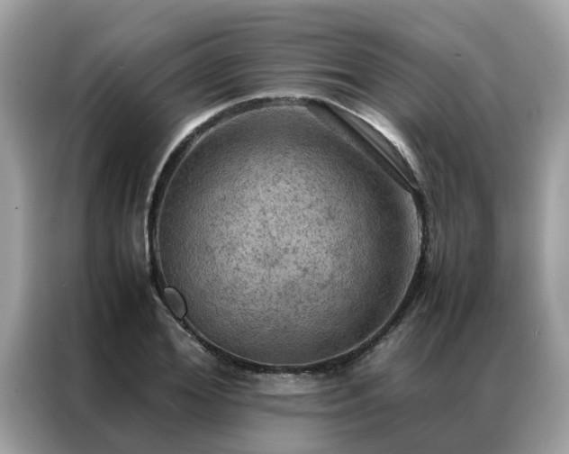 X0000087370980200704271452