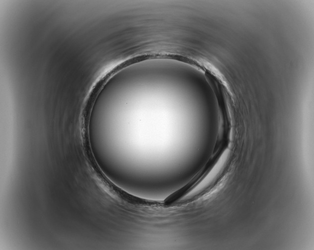 X0000087370981200704271452