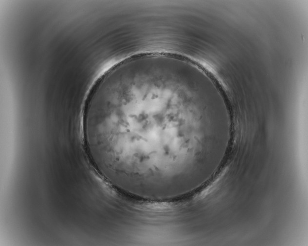 X0000087370982200704271452
