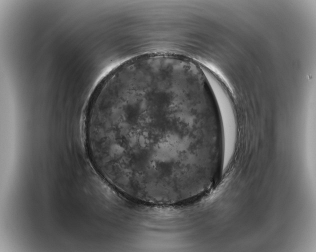 X0000087370983200704271452