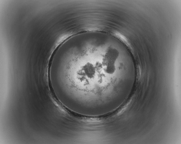 X0000087370986200704271452