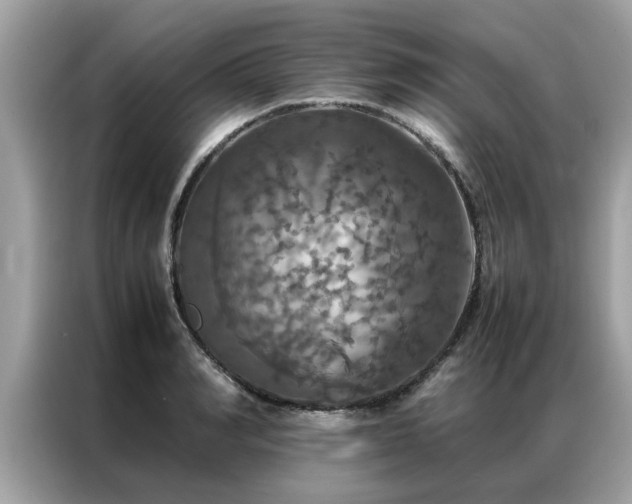 X0000087370990200704271452