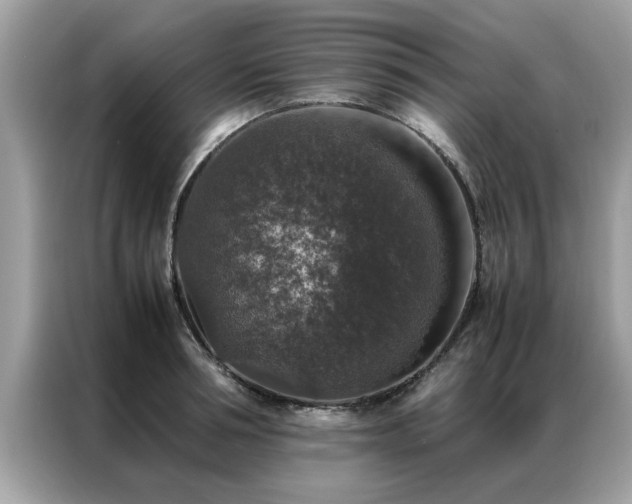 X0000087370994200704271452