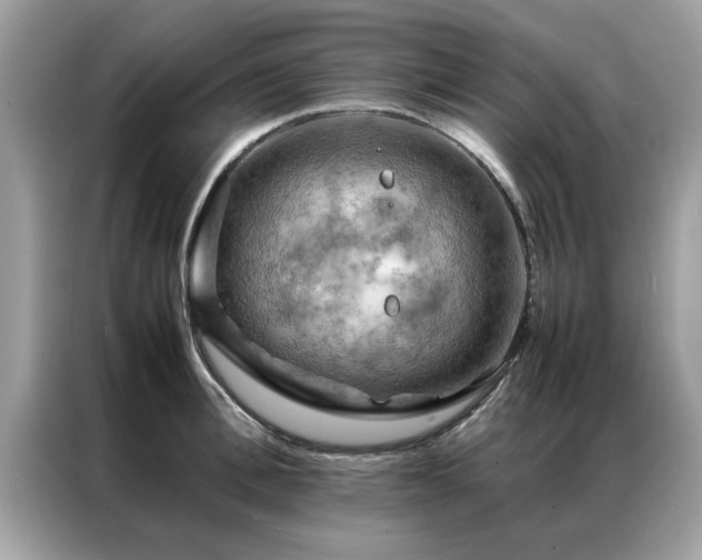 X0000087370996200704271452